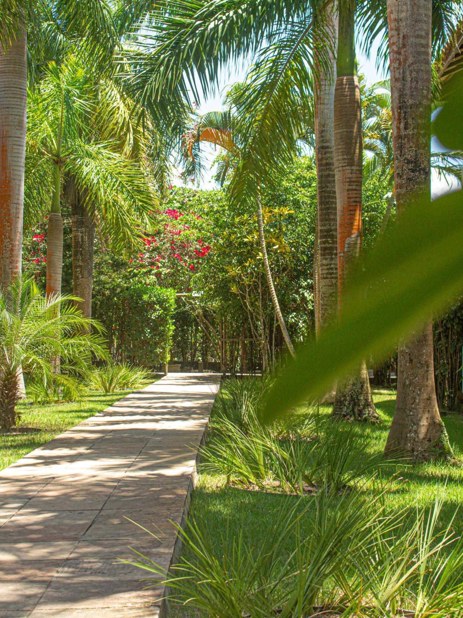 Sunshine Praia Hotel Porto Seguro Exterior foto
